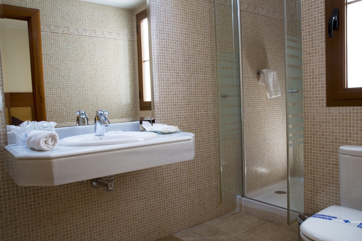 shower, free toiletries, hair dryer, bidet