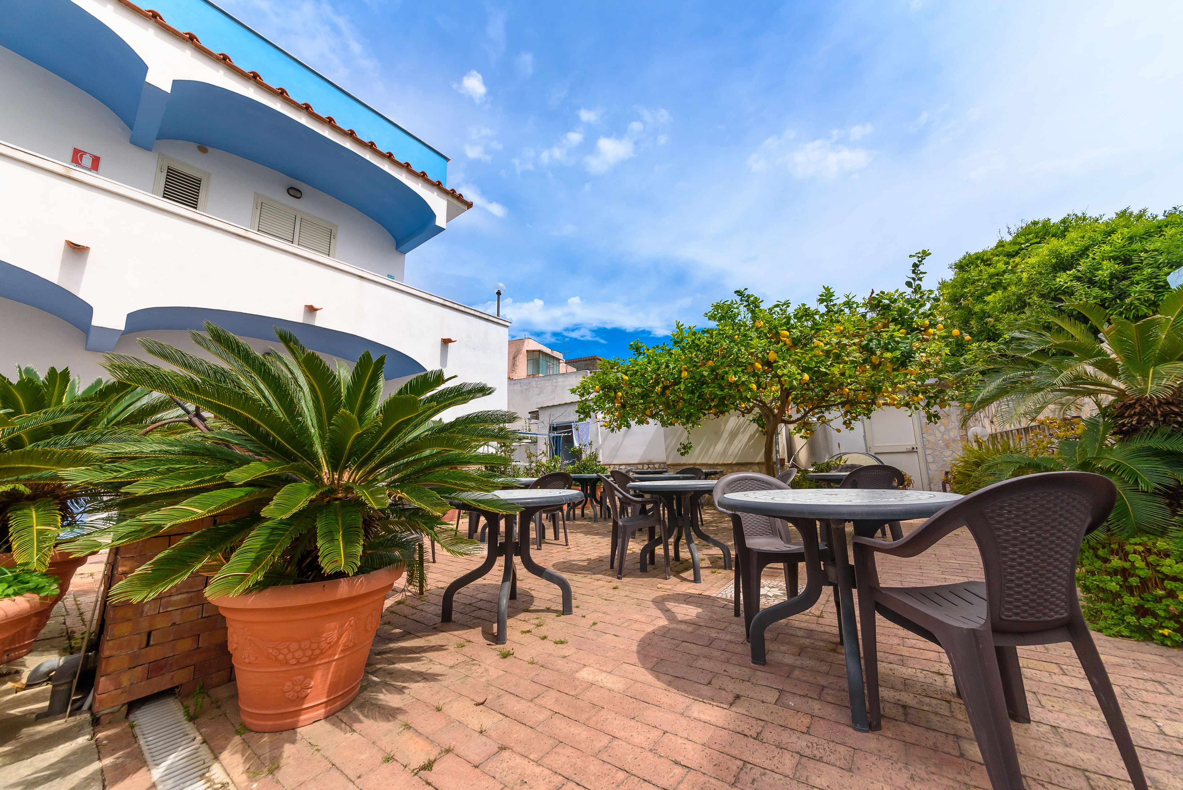 Foto - Hotel Celeste