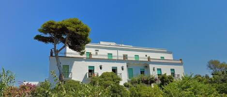A white building with a flat roof and multiple windows, surrounded by greenery.