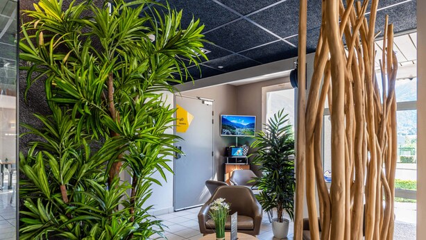 Un lobby moderno con una planta grande, una zona de estar y una pantalla de televisión.