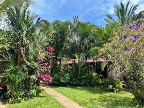 Un jardin avec un sentier menant à un bâtiment, entouré de diverses plantes et fleurs tropicales.