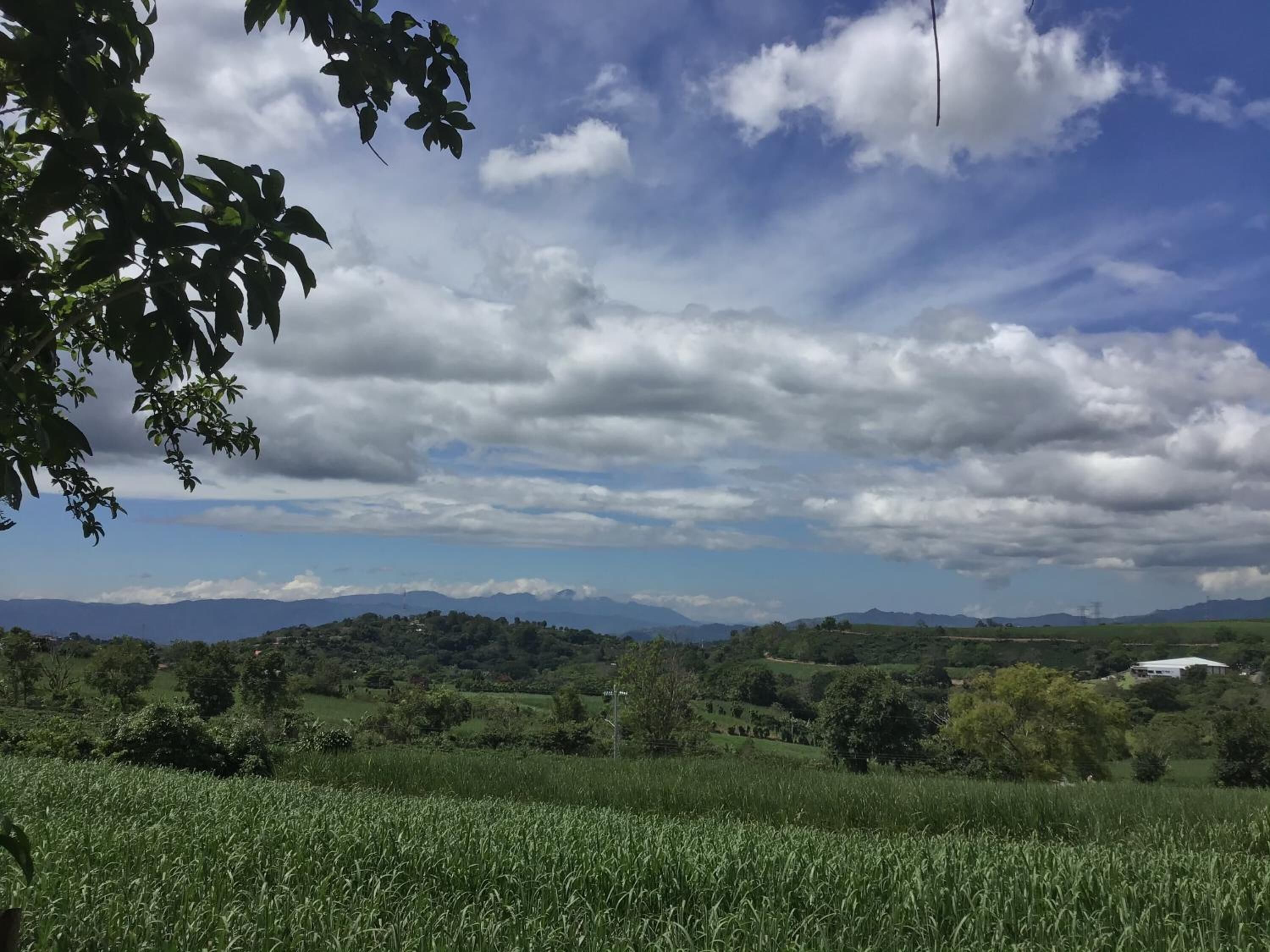 Un paisaje rural con un campo de cultivos, colinas ondulantes y una cordillera distante bajo un cielo parcialmente nublado.