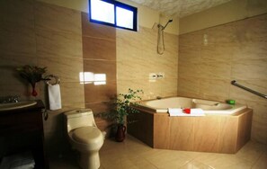 Shower, hair dryer, towels - Hotel B&B Garden Grecia (San Jose)
