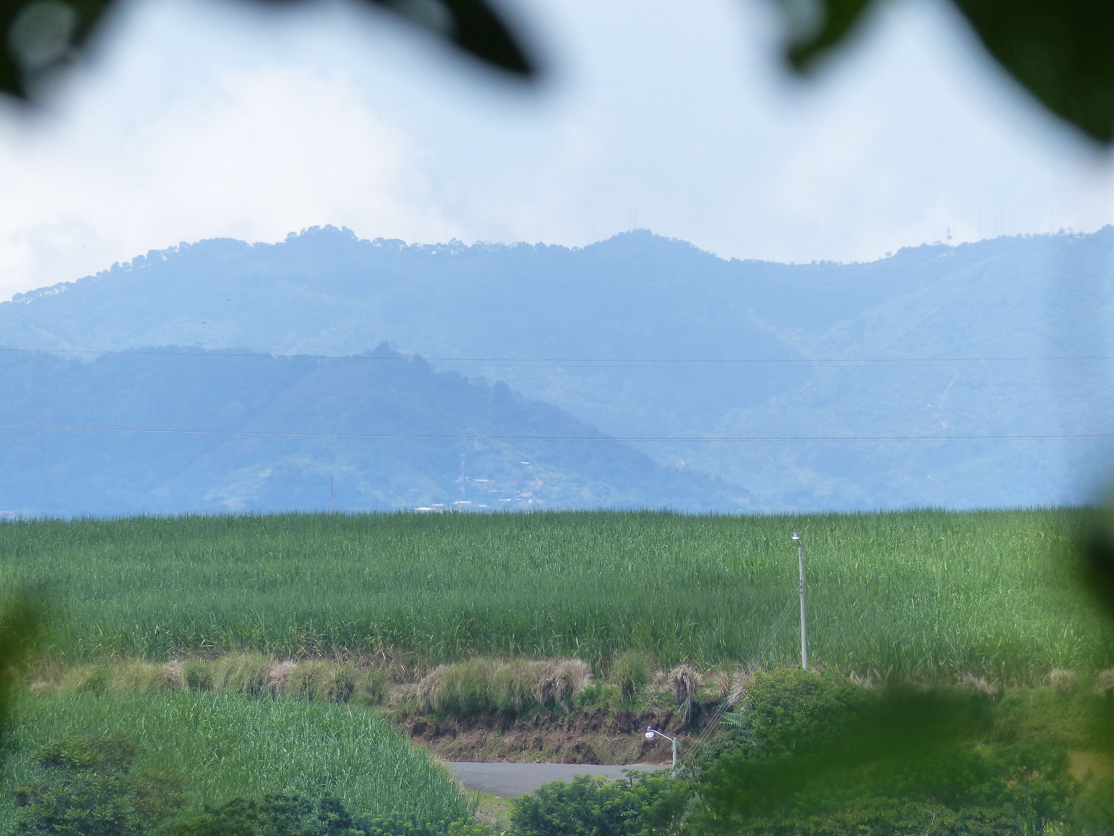 A rural landscape with a field in the foreground and mountains in the background.