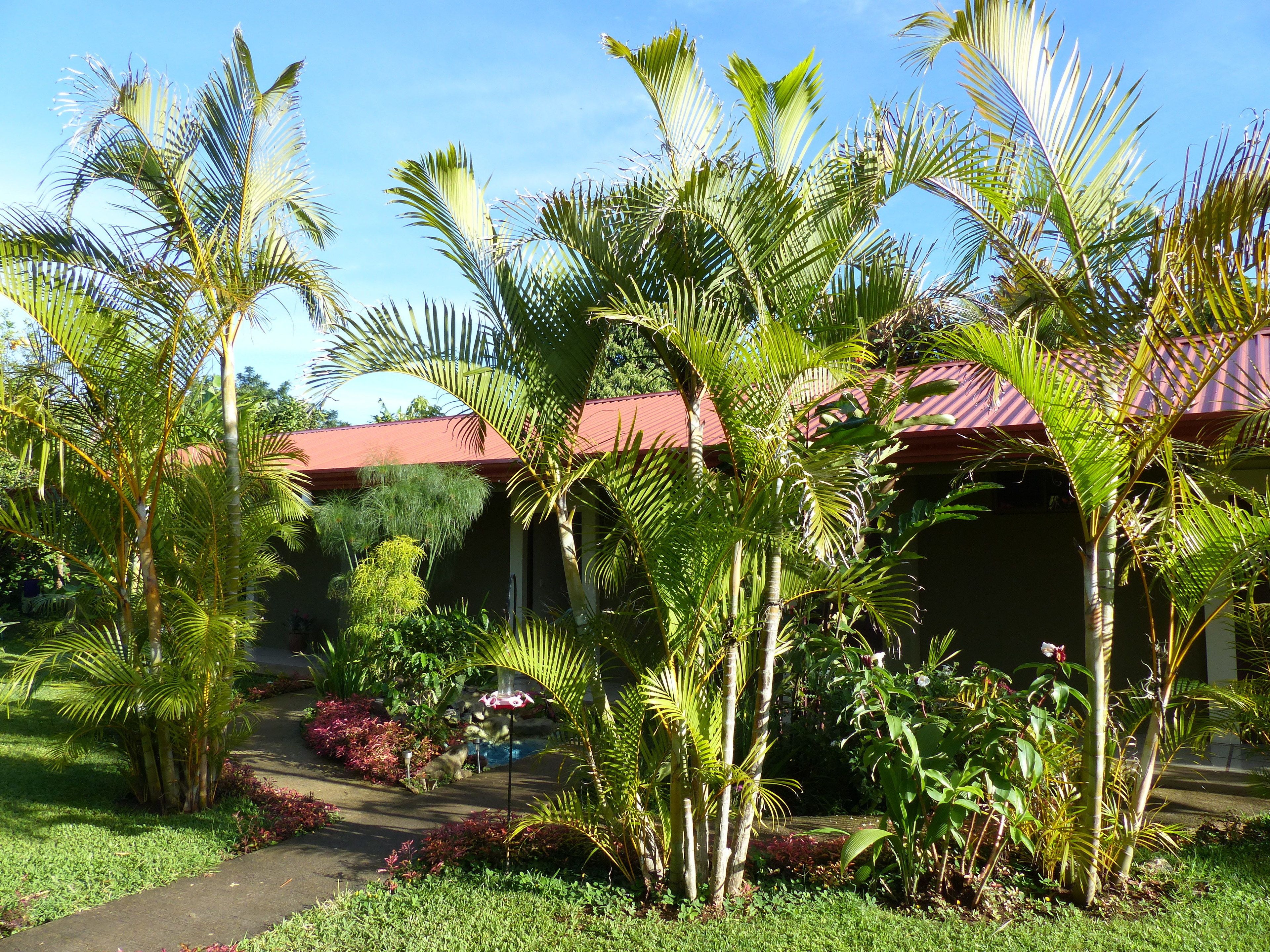 Photo - B&B Garden Grecia