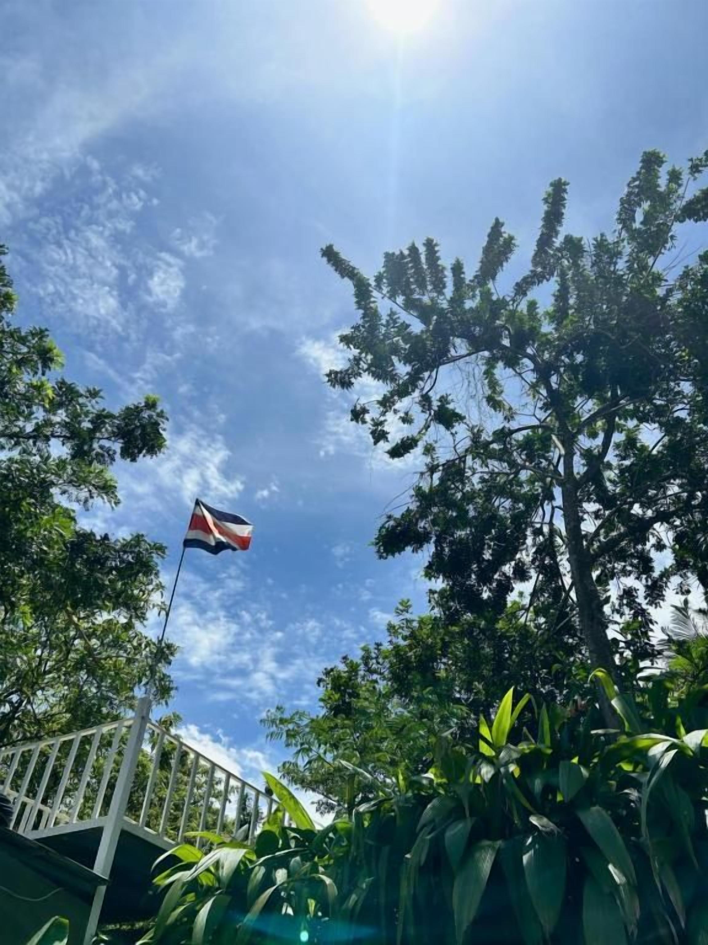 A flag on a pole, surrounded by trees and a clear sky.