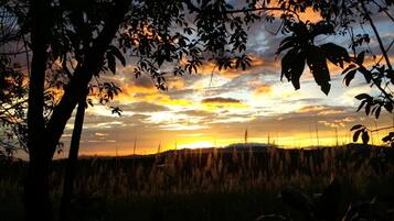 A sunset view with silhouettes of trees and a distant hill.