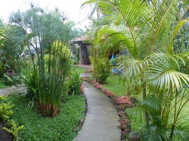 Área da propriedade