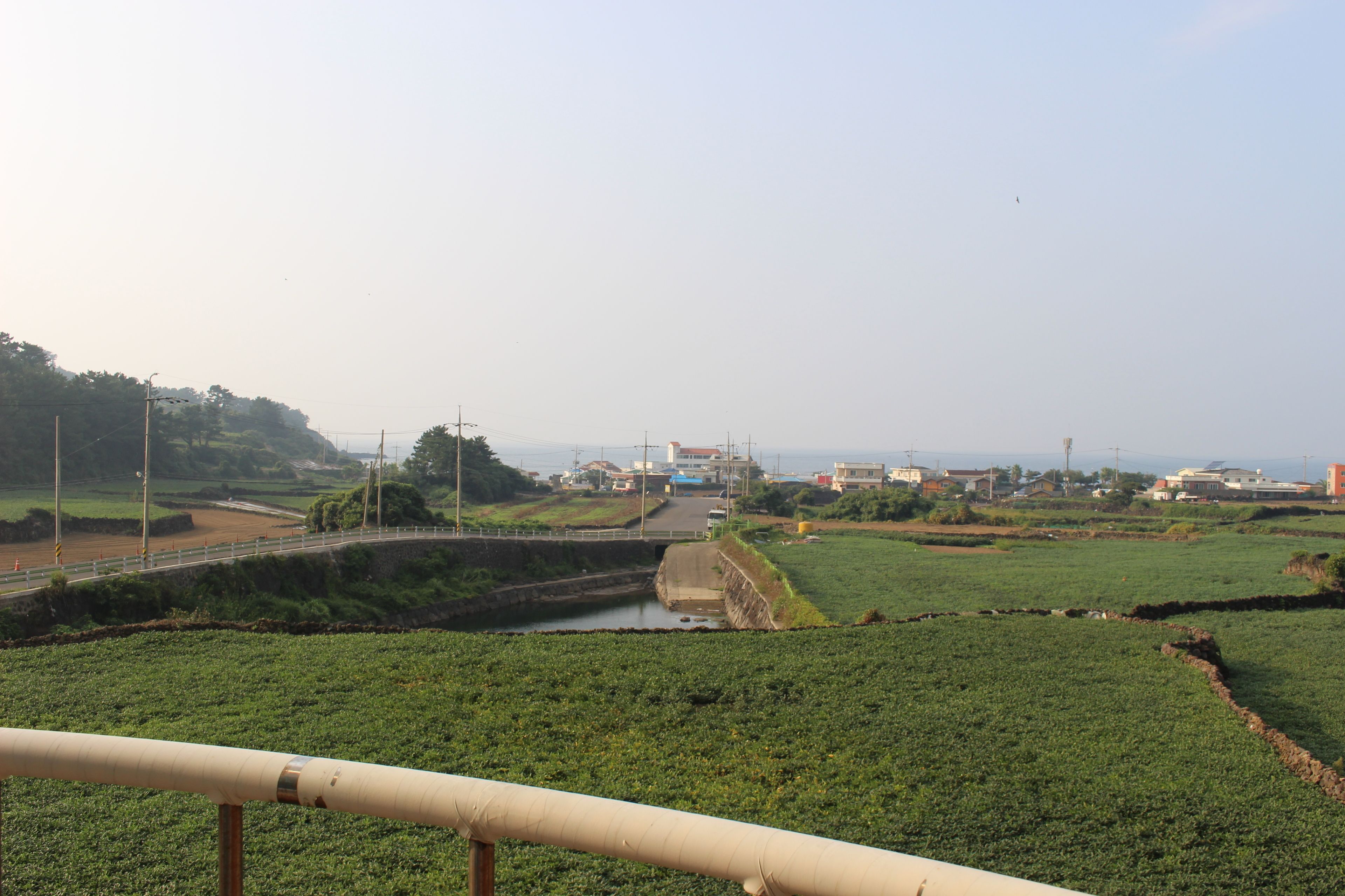 Foto - Jeju Feel House