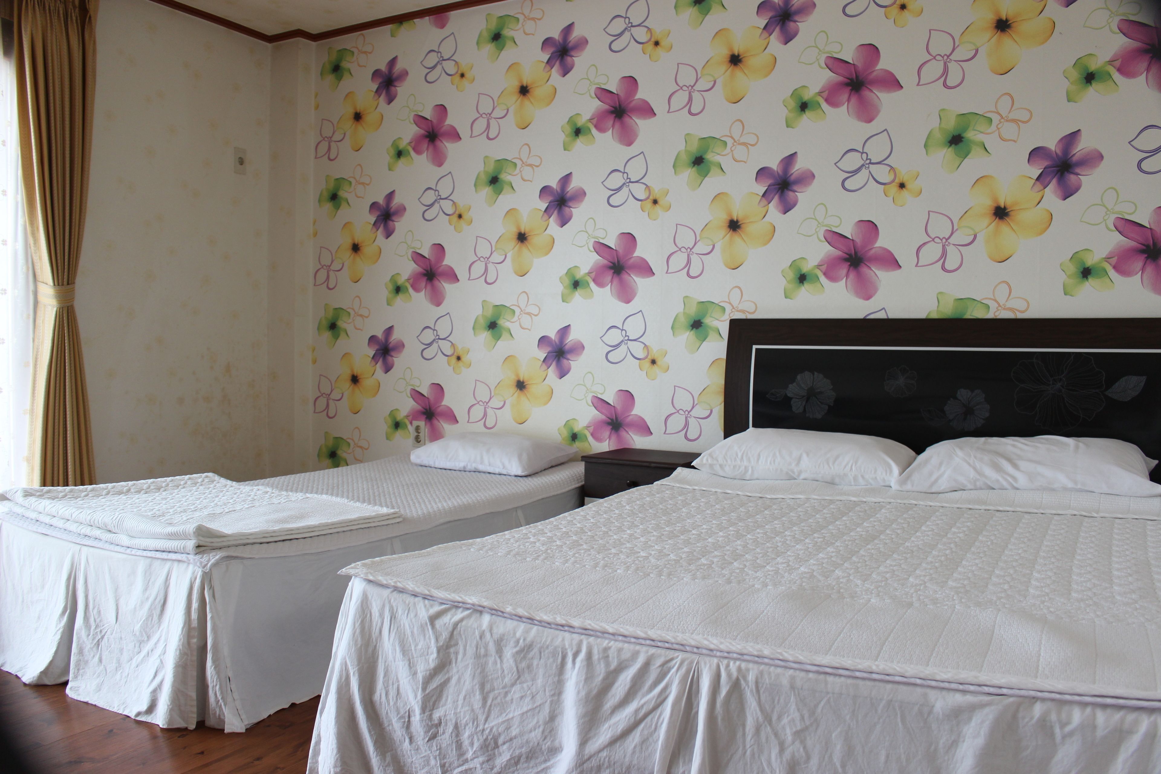 Foto - Jeju Feel House