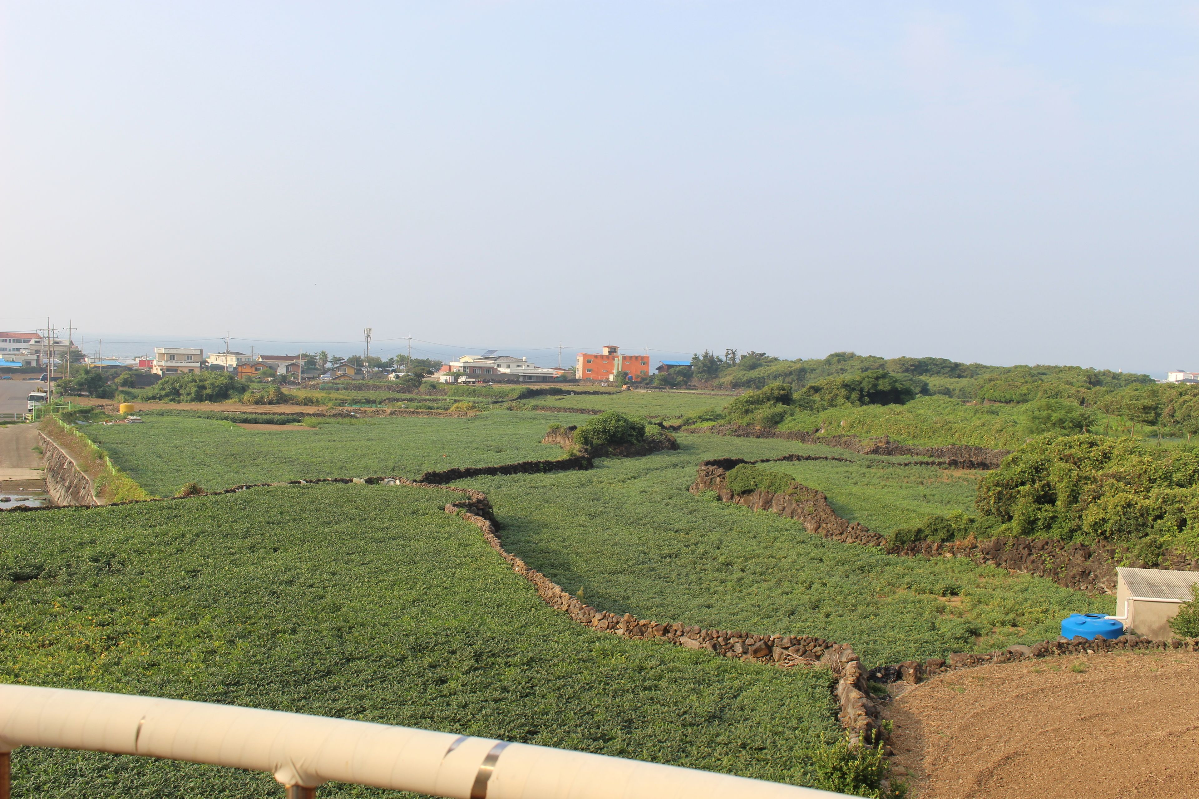 Photo - Jeju Feel House