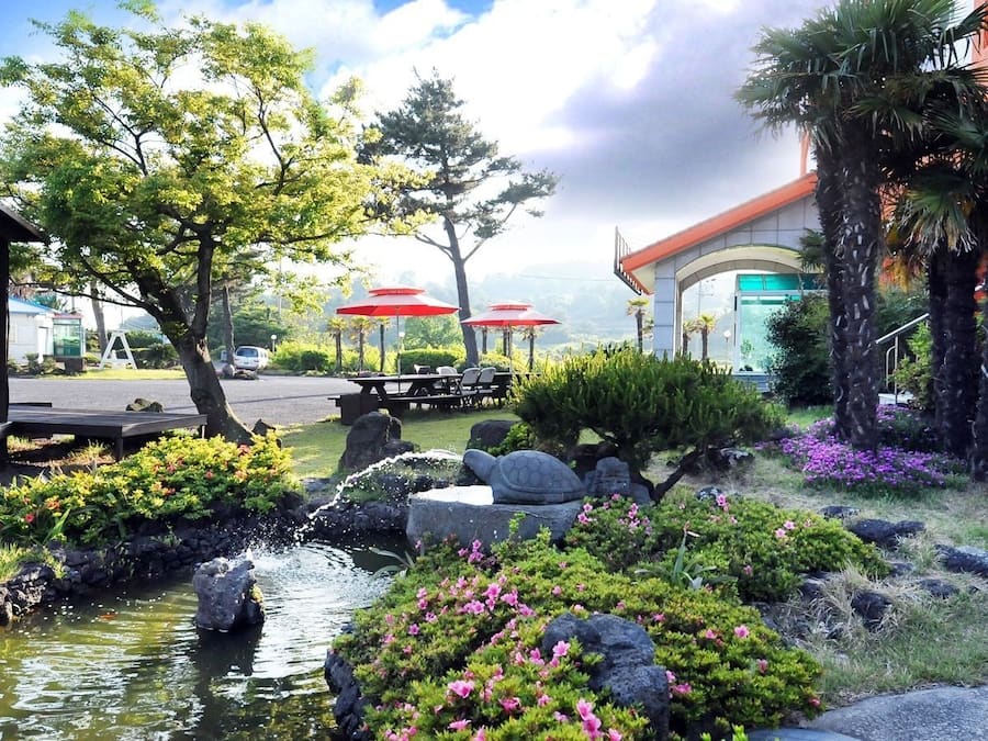 Garden