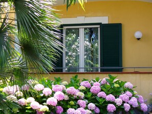 Property grounds - Hotel La Marticana (Ischia)