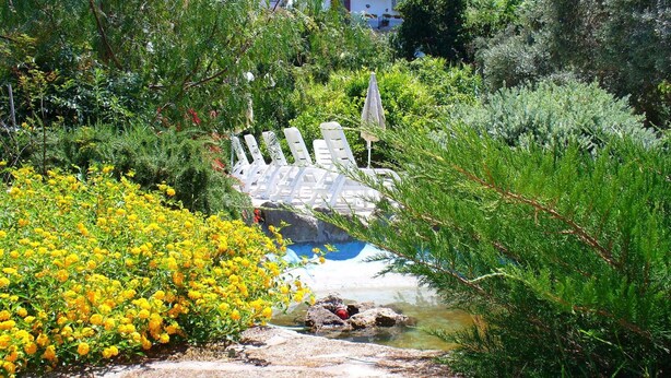 Un jardín con un pequeño estanque, sillones blancos y plantas florecientes amarillas.