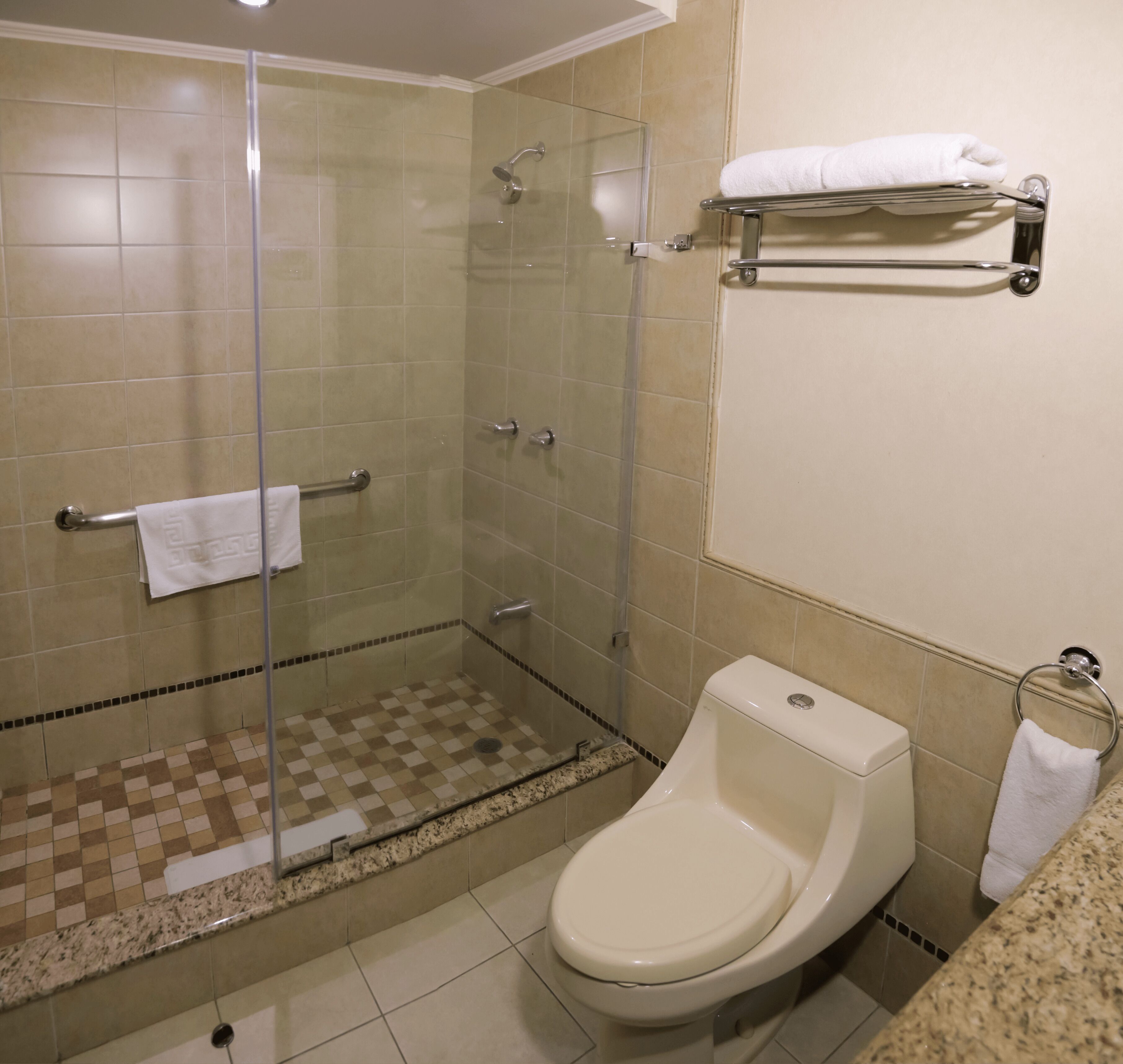 Une salle de bain avec une douche à parois de verre, des toilettes et un porte-serviettes.