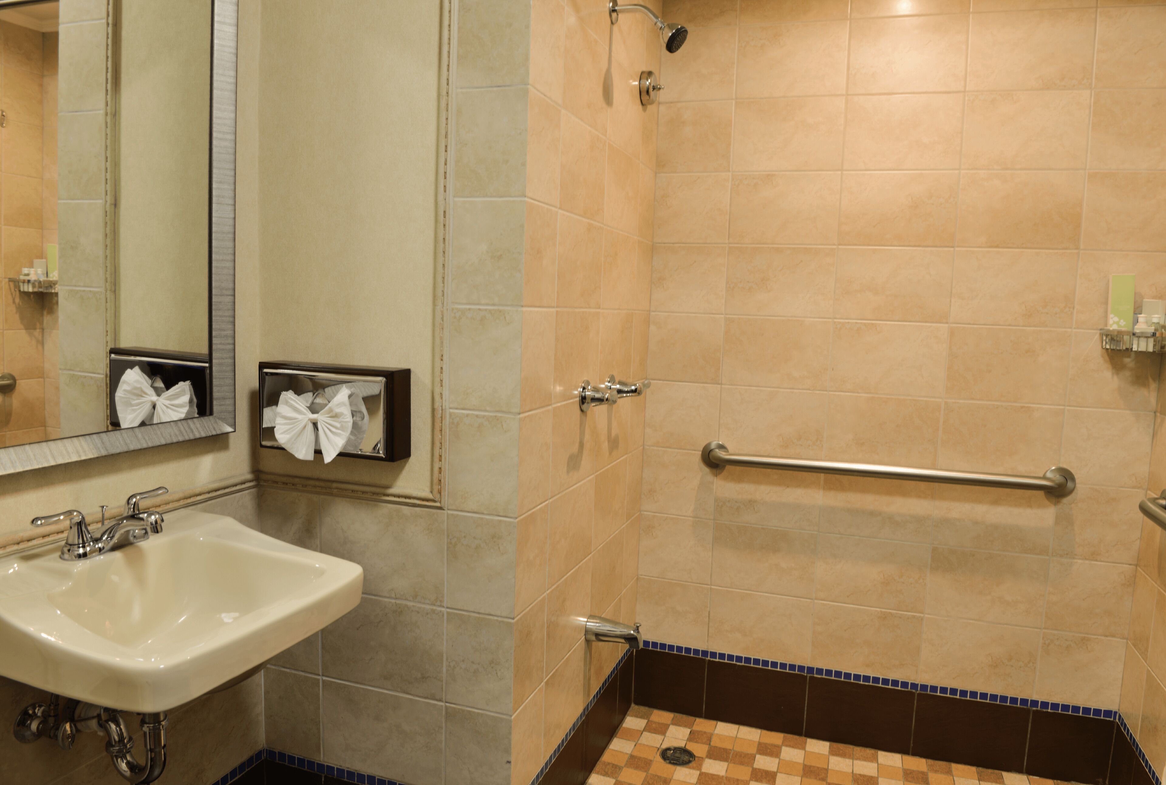 Un baño con lavamanos, espejo, dispensador de toallas y zona de ducha con barra de apoyo.