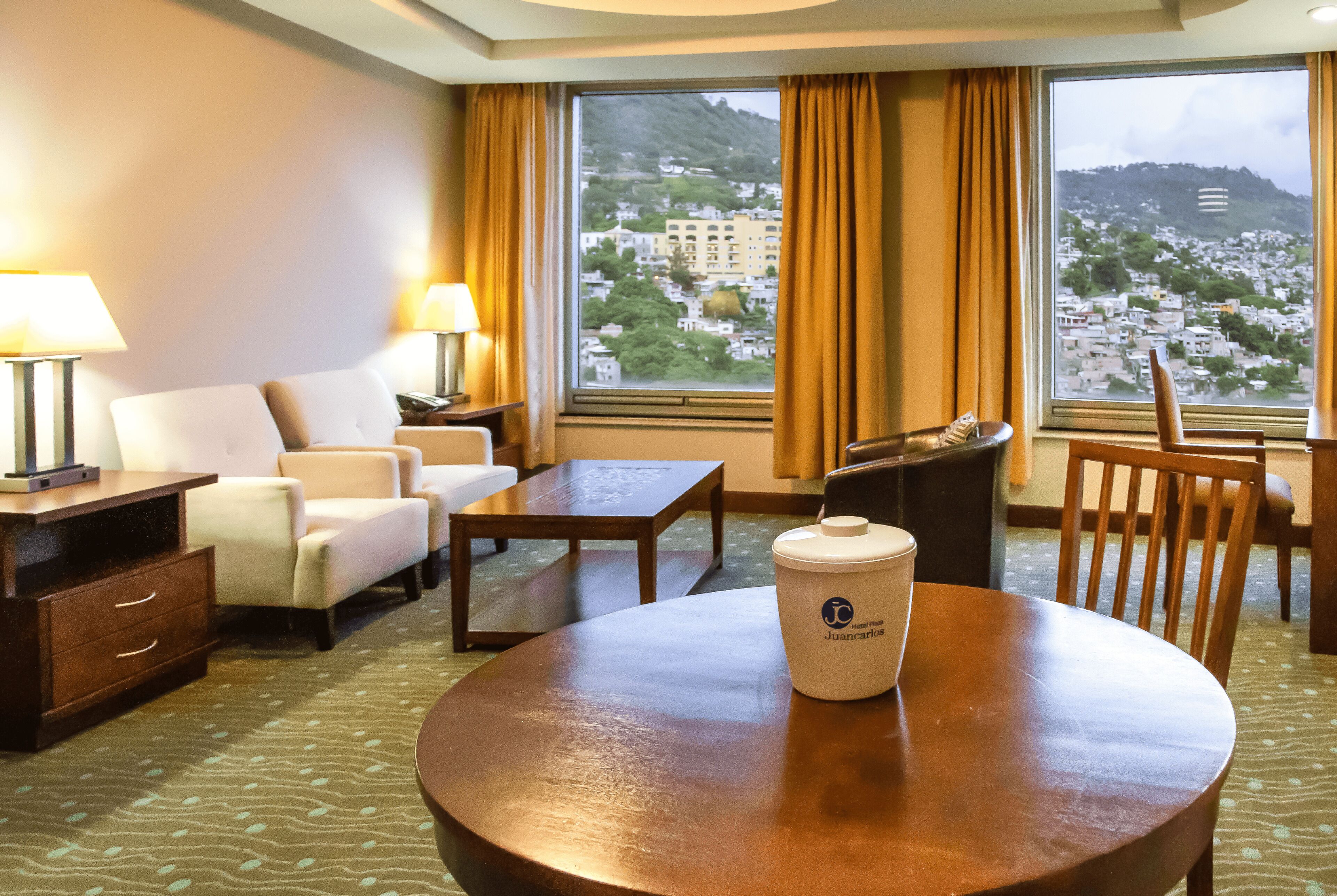 executive suite | view from room