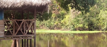 Amazon Sunrise Lodge & Expeditons