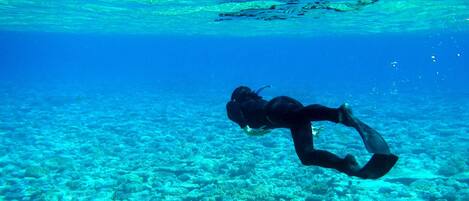 A diver underwater exploring a coral reef.
