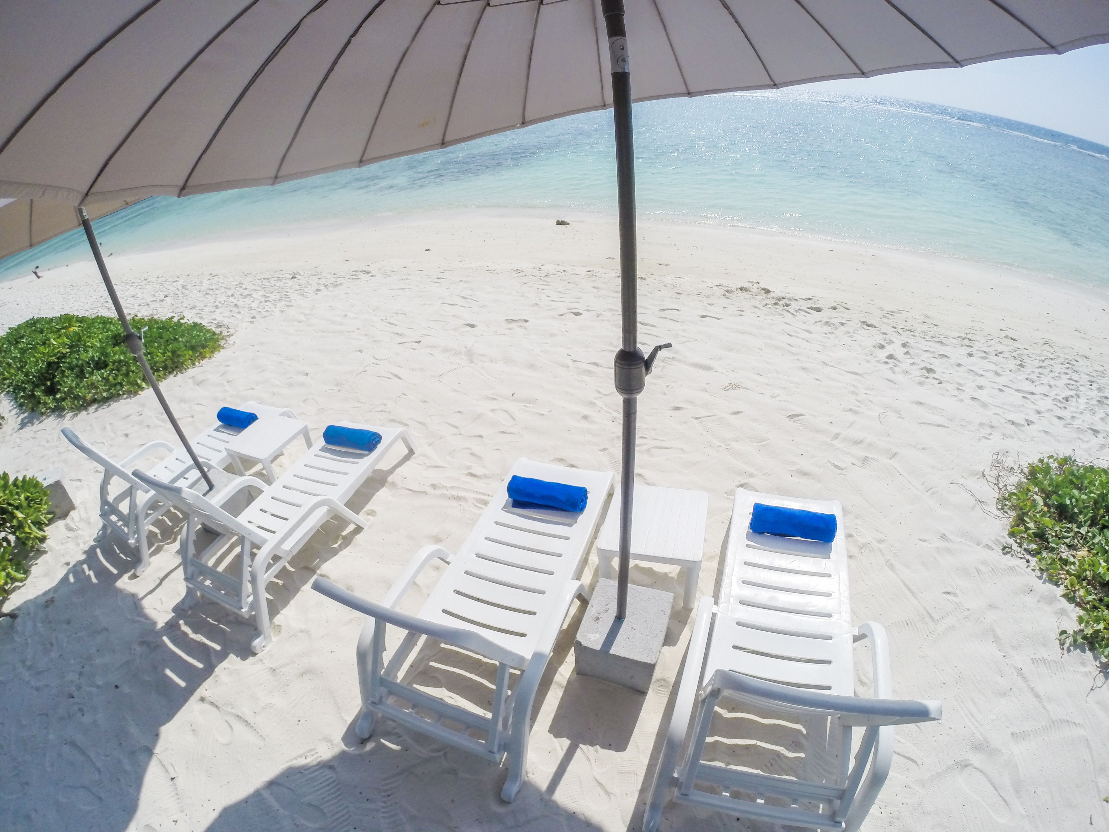 A beach with white lounge chairs and a large umbrella providing shade.