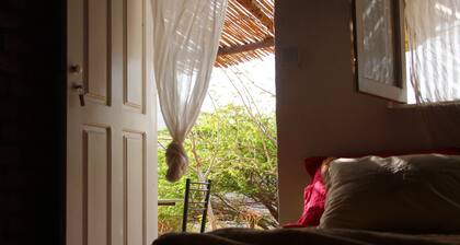 Farinha de Pau - Eco Rural Project