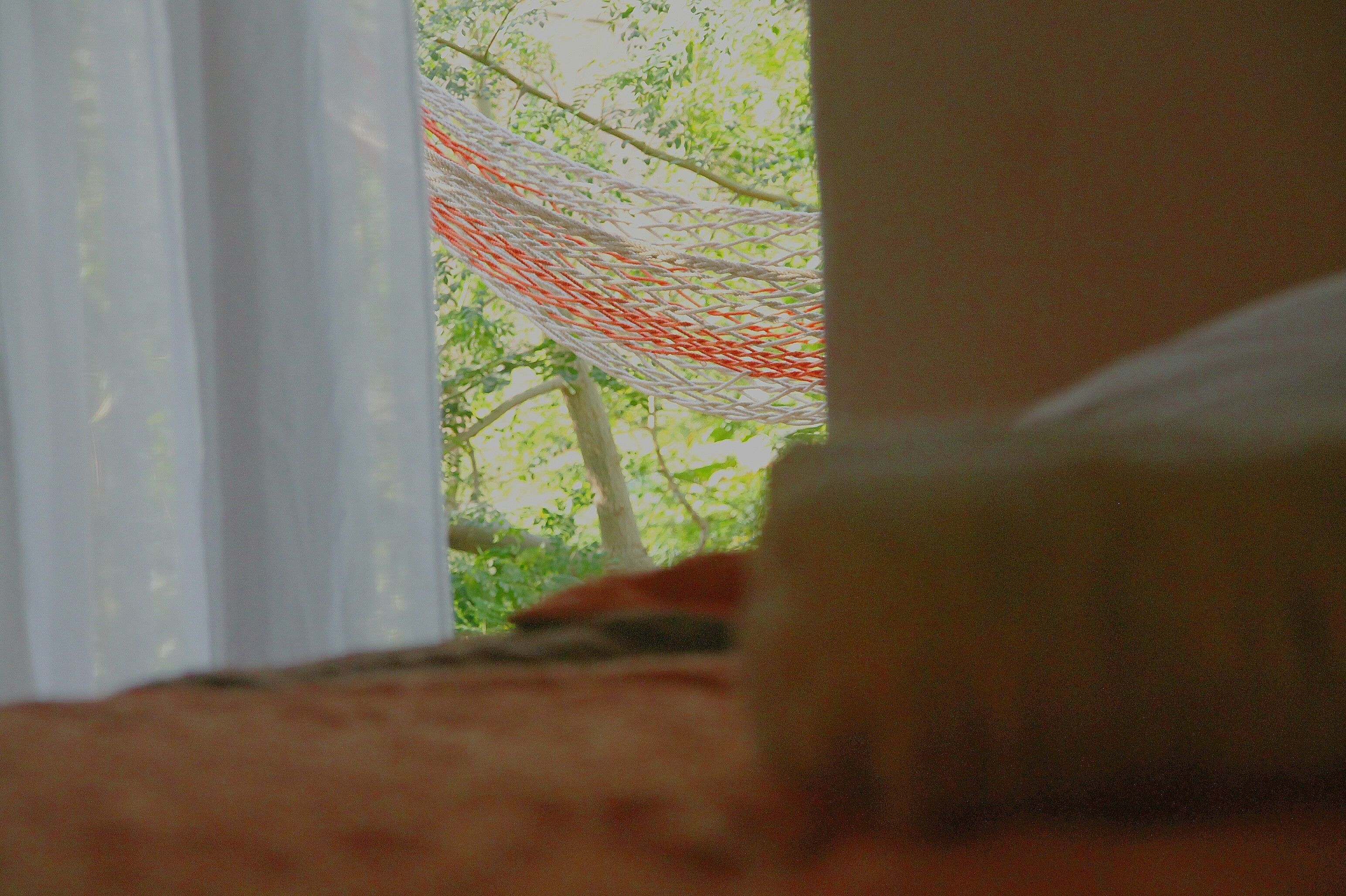 A hammock tied between trees, visible through a window.
