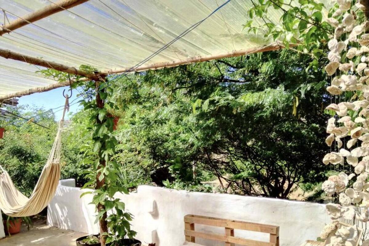 A covered outdoor area with a hammock, wooden bench, and climbing plants.