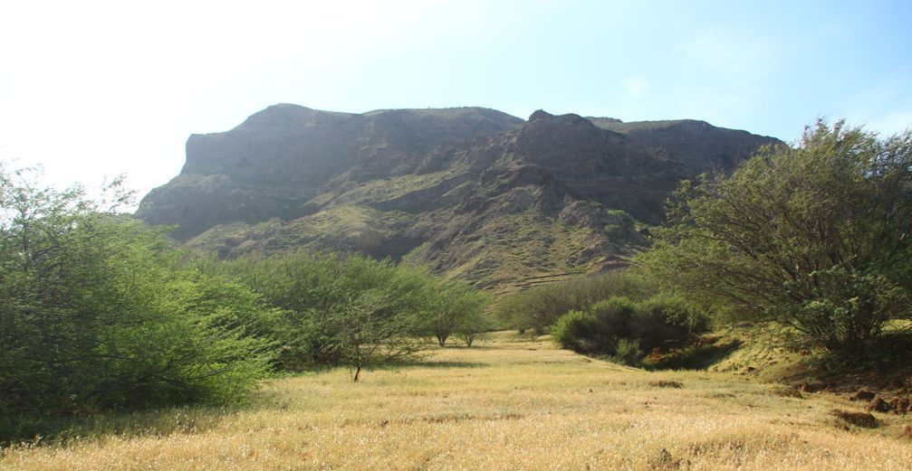 A mountainous landscape with dry grass and sparse trees.
