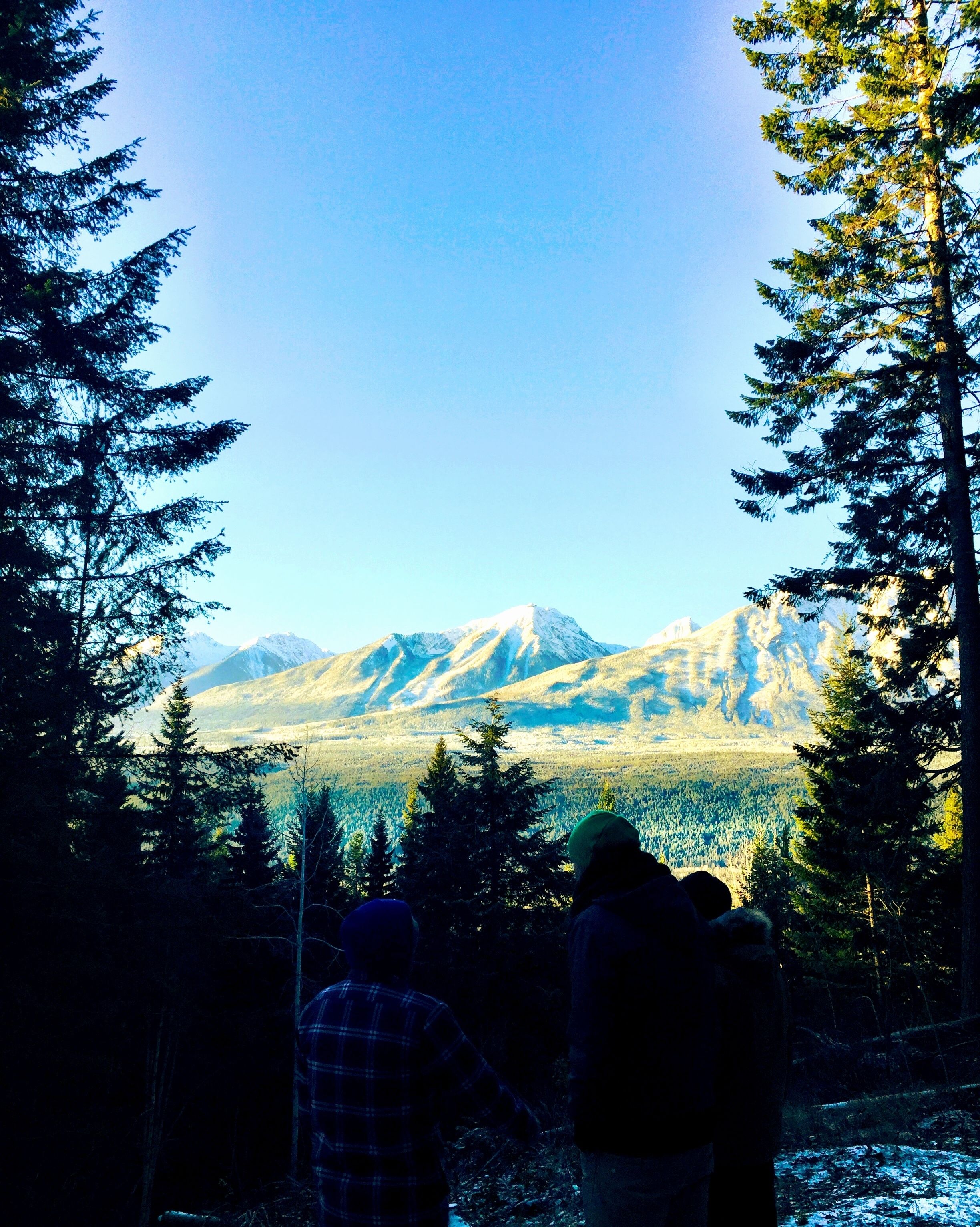 A group of people standing in a forested area with a mountain range in the background.