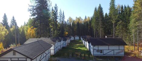 A row of traditional timber-framed cabins with a gravel driveway and a forested backdrop.