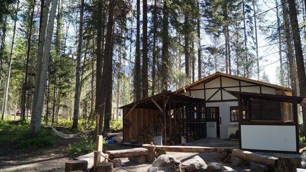 A rustic cabin with a wooden exterior, surrounded by tall pine trees. - Mountain View Cabins (Golden)