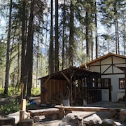 Mountain View Cabins