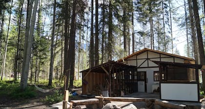 Mountain View Cabins