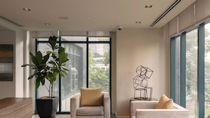 Un salon moderne doté d’une grande fenêtre, d’une plante en pot, de deux canapés et d’une œuvre d’art aux motifs géométriques.