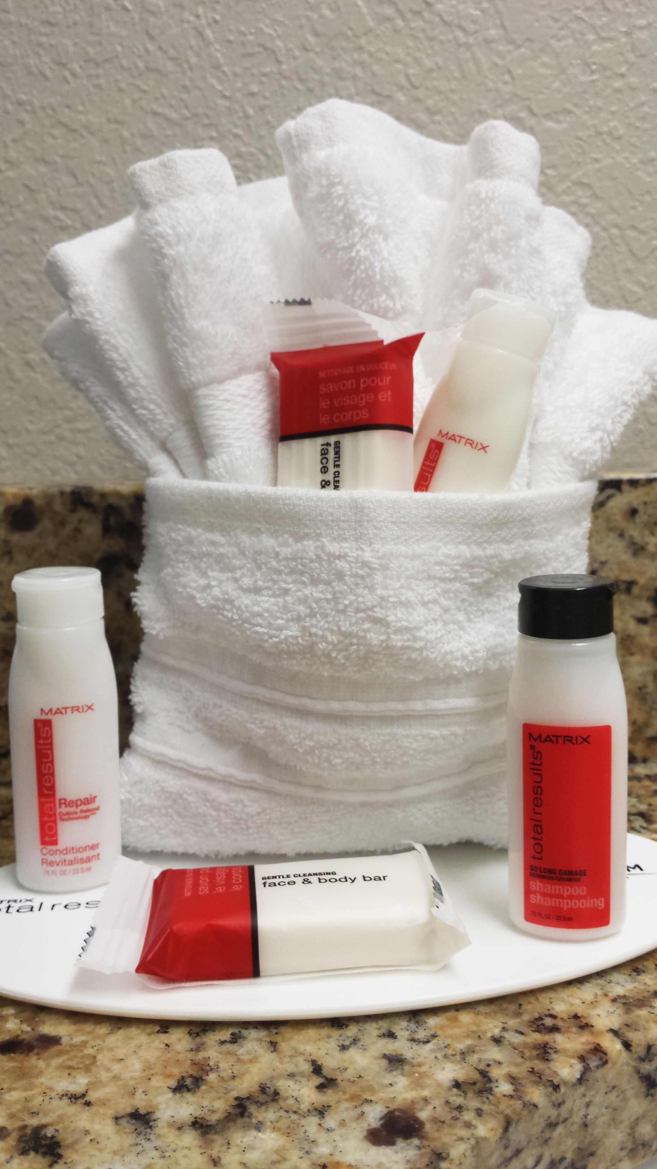 combined shower/bathtub, free toiletries, hair dryer, towels