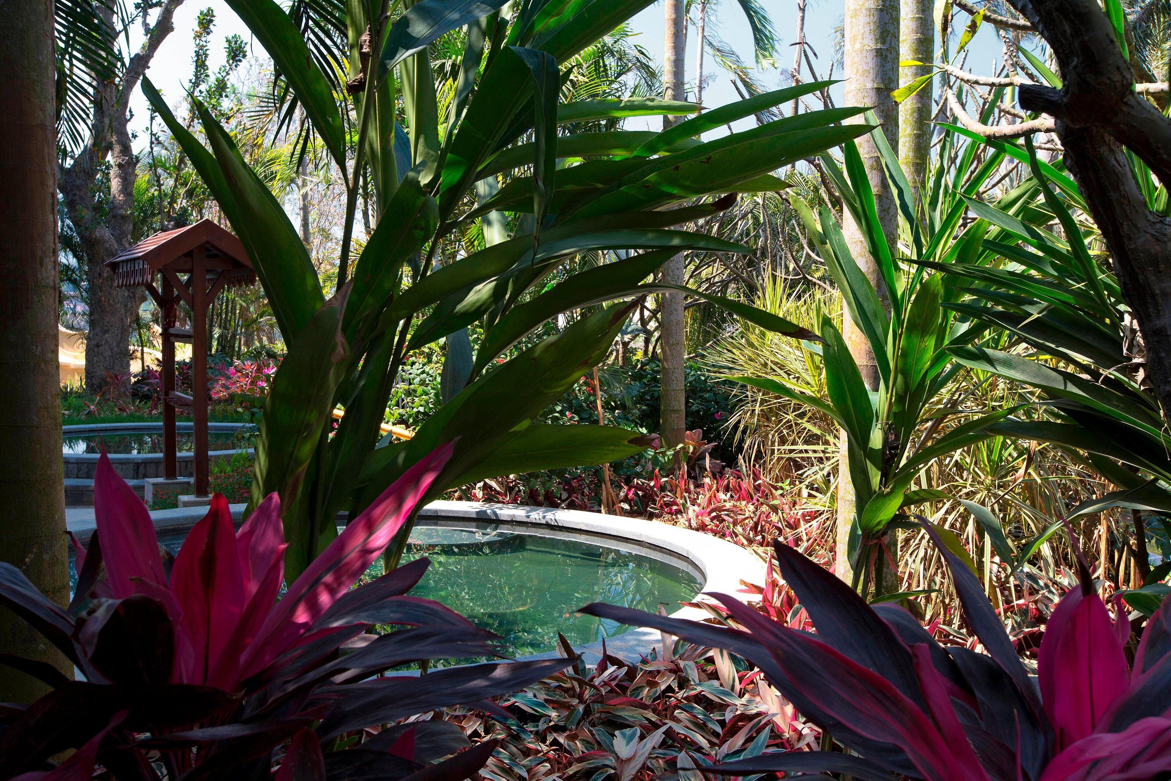 A garden with a small pool, surrounded by various plants and a gazebo.