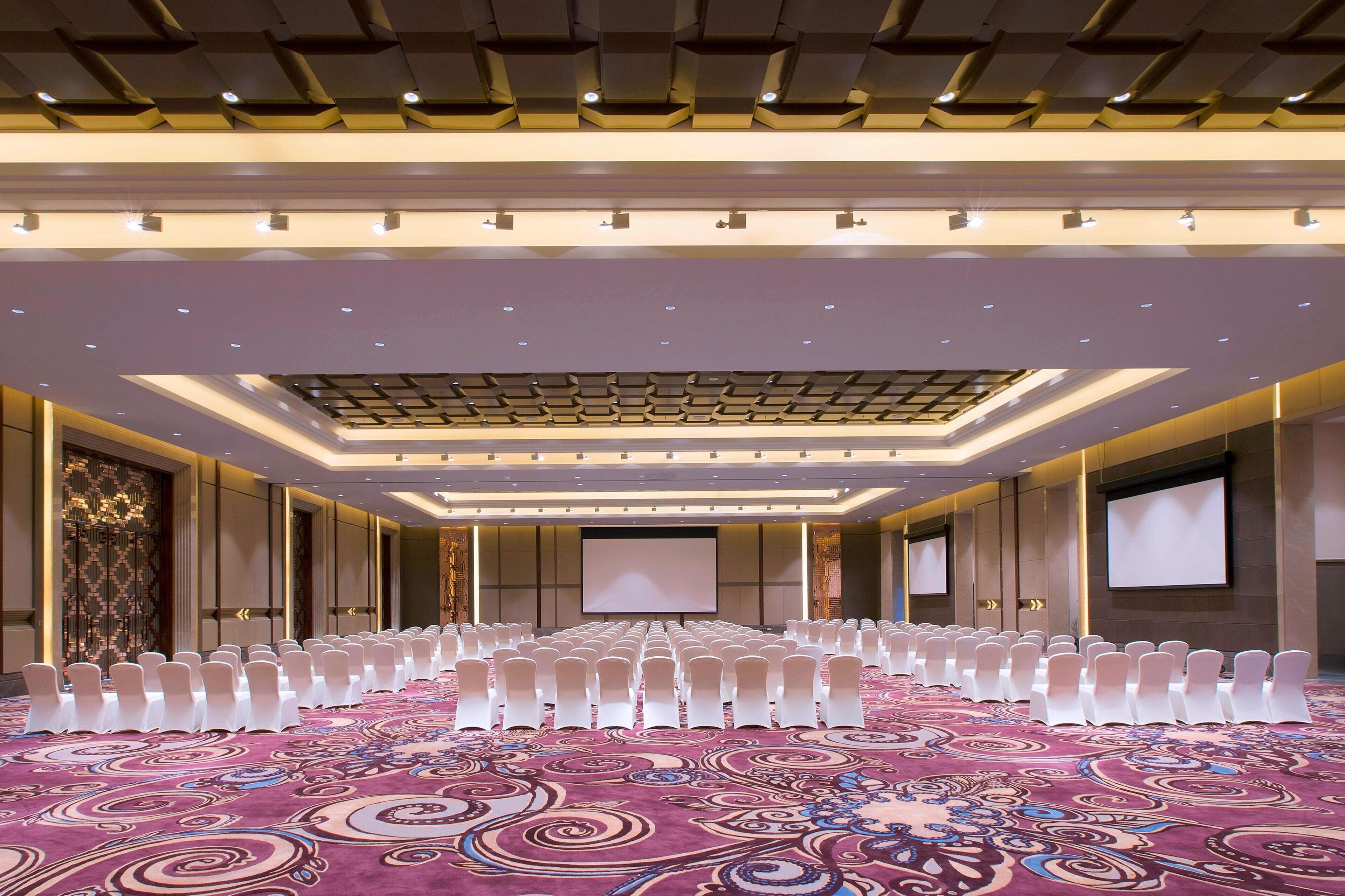 A conference room with rows of white chairs, a large carpeted floor, and a ceiling with recessed lighting.
