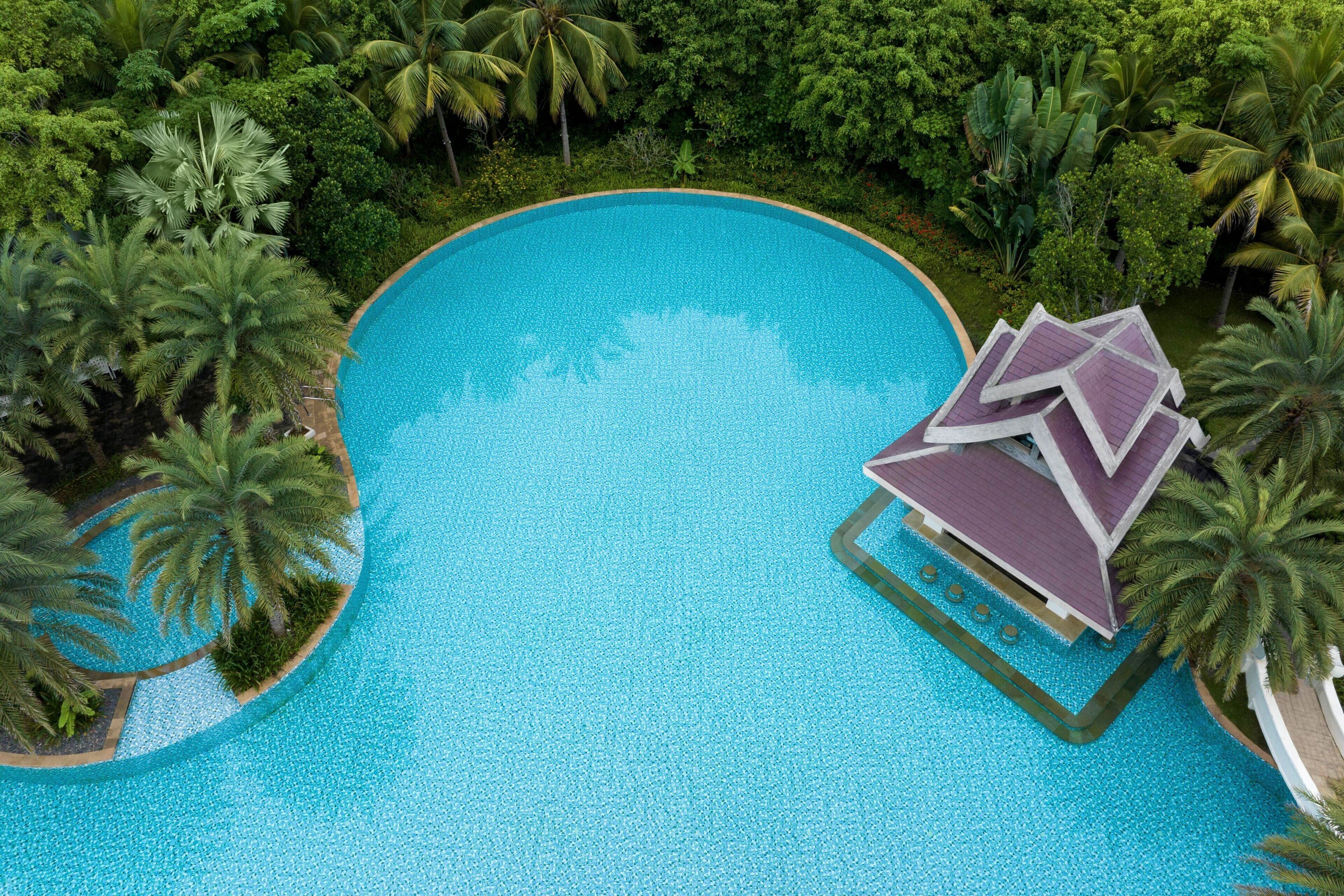 An aerial view of a swimming pool surrounded by lush greenery and palm trees.