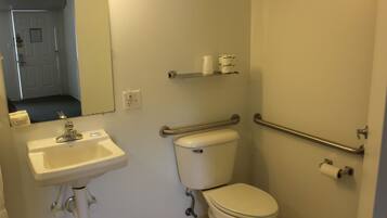 A bathroom with a sink, toilet, and handrails.