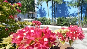 A garden with pink flowers and palm trees. - Green Palm Boutique Hotel (Crown Point)