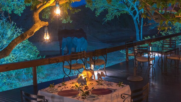 Un espace de restauration en plein air, avec des tables et des chaises placées sous un arbre, entouré d’une terrasse en bois et d’une rambarde.