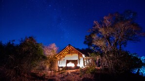 Une maison avec un toit en pente et une véranda, entourée d’arbres et baignée par la lumière d’un ciel étoilé.