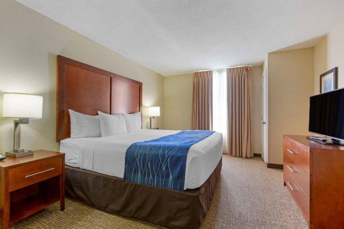 Habitación de hotel con cama, lámparas de noche, televisor, cómoda y ventana con cortinas.