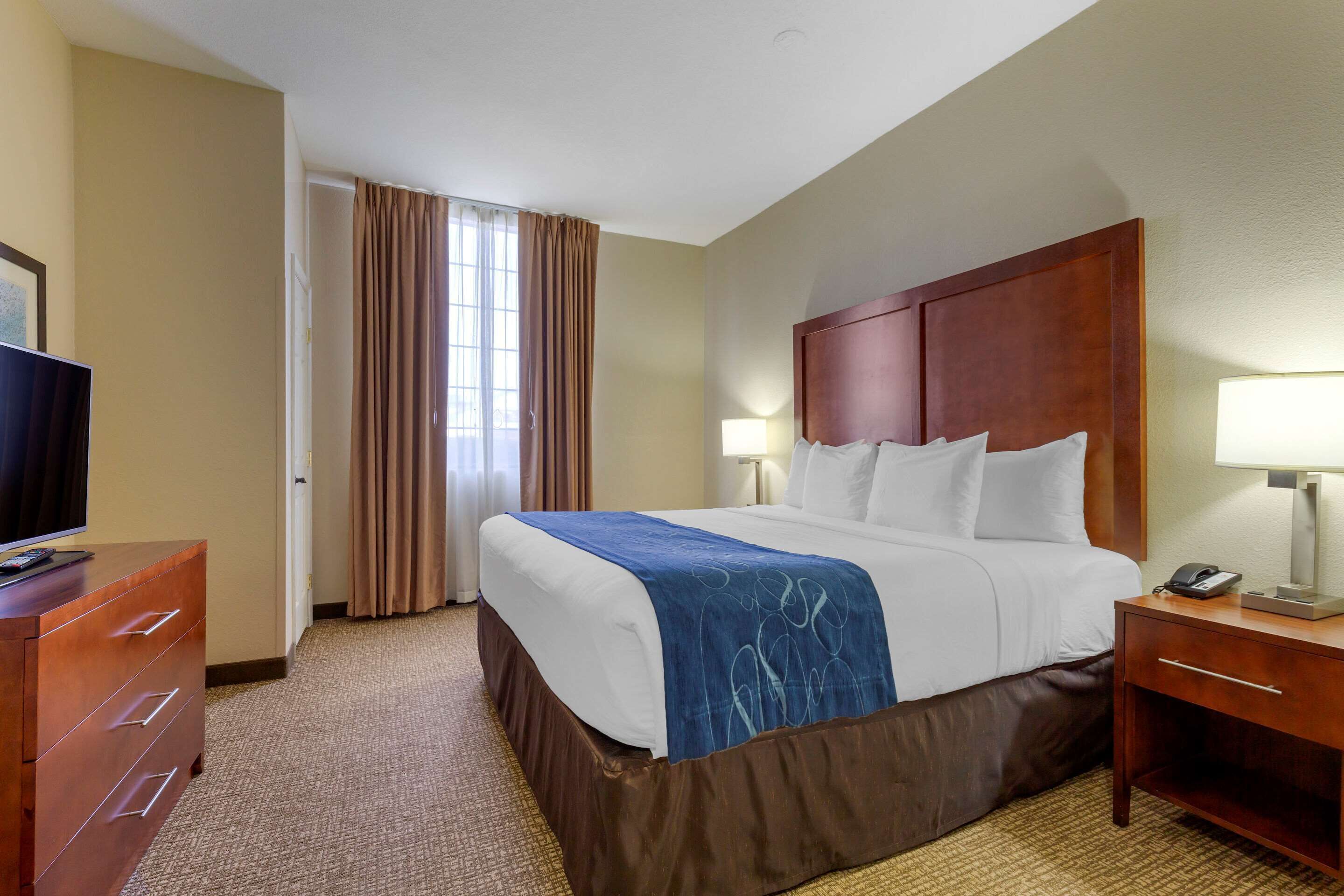 A hotel room with a large bed, a wooden dresser, a television, and a nightstand with a lamp.