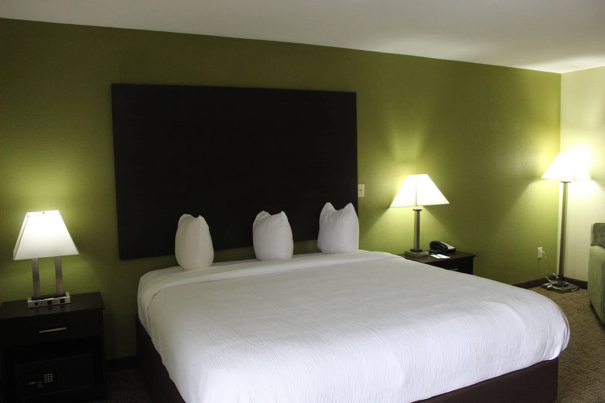 A hotel room with a large bed, two bedside lamps, a nightstand with a phone, and a green wall.