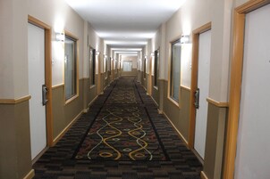 Servicio de la propiedad