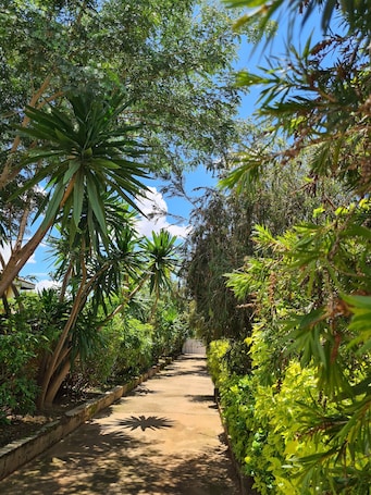 Standard Double Room, 1 Double Bed, Ensuite | Premium bedding, down comforters, free minibar, blackout drapes