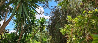 Spendwise Lodge and Apartments