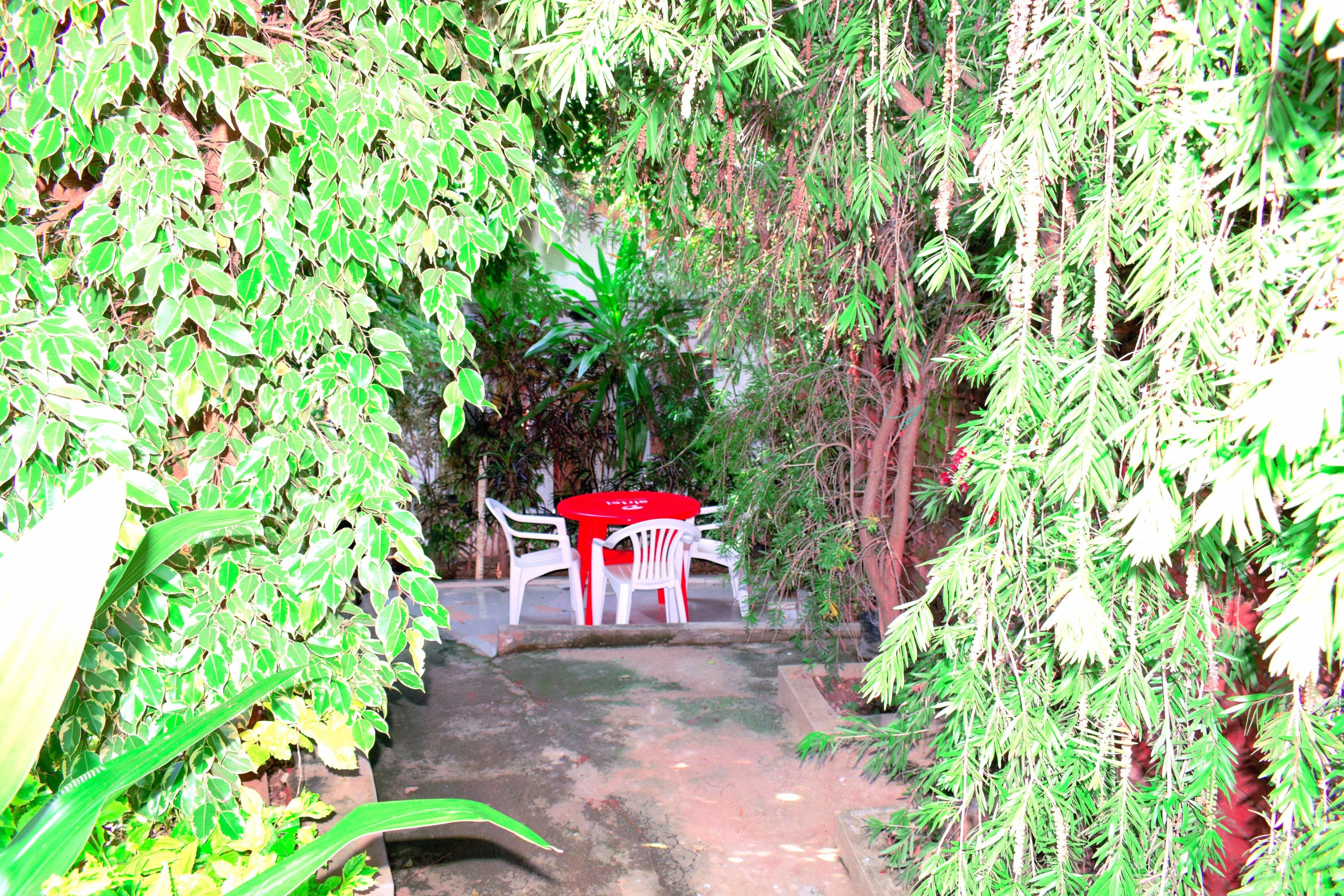 A pathway leading to a red table and white chairs surrounded by dense foliage.