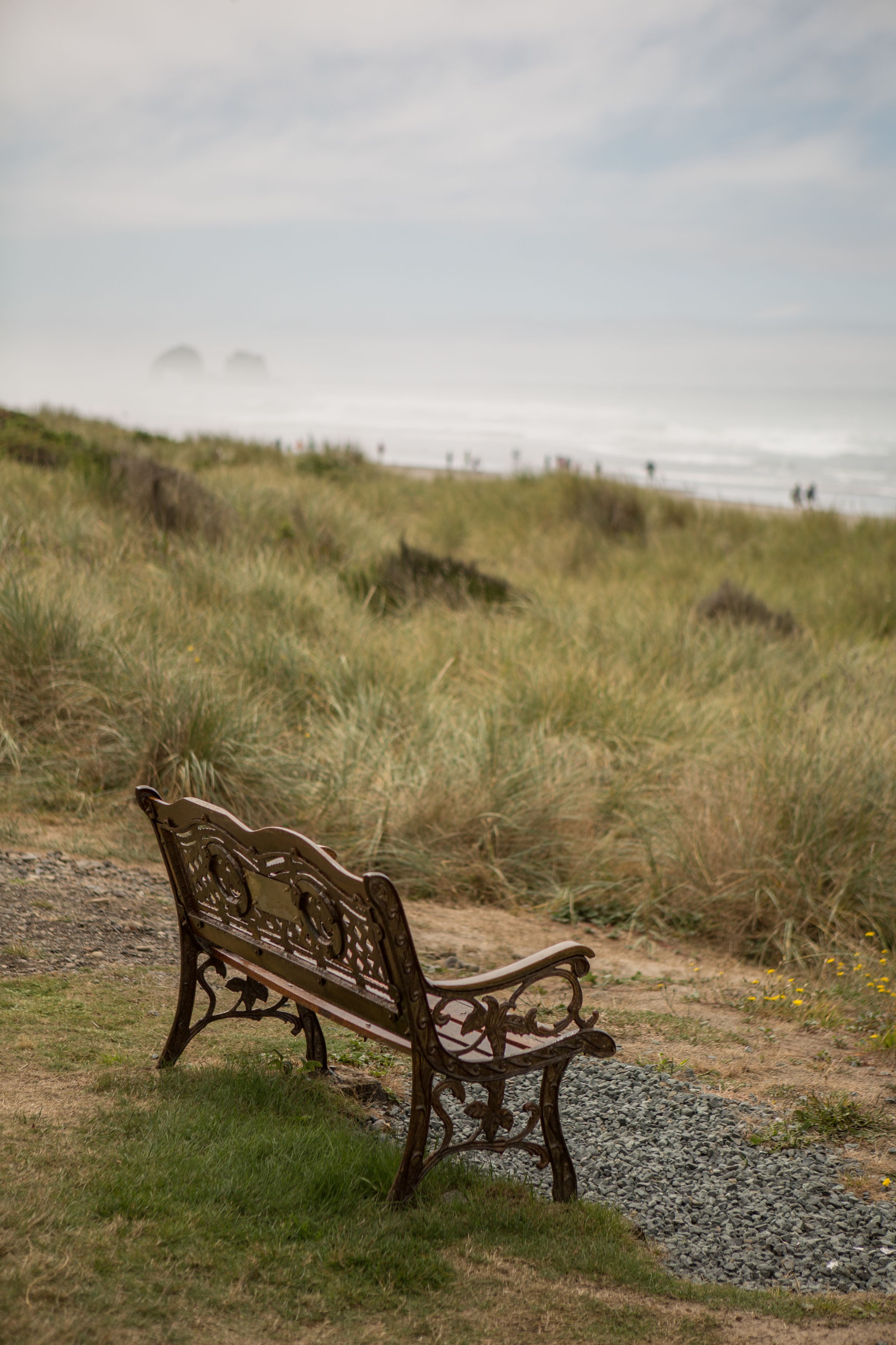 A bench in a grassy area with a view of the ocean.